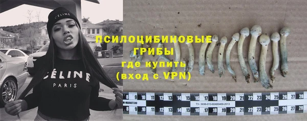 Альфа ПВП Армянск