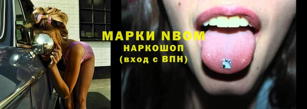 амф Арсеньев