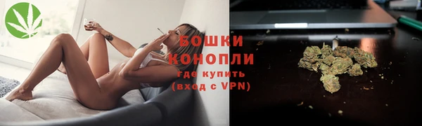 амф Арсеньев