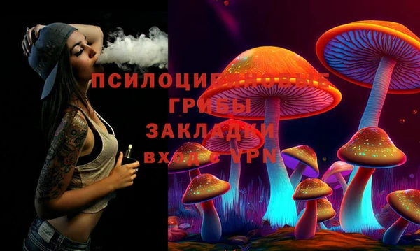 амф Арсеньев