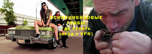 амф Арсеньев