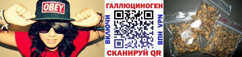 купить цена Армянск Галлюциногенные грибы прущие грибы