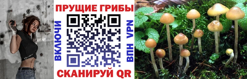 Галлюциногенные грибы мицелий Армянск